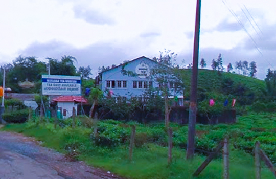 Wayanad Tea Museum